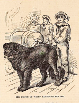 Prince of Wales 1860